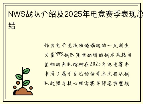 NWS战队介绍及2025年电竞赛季表现总结